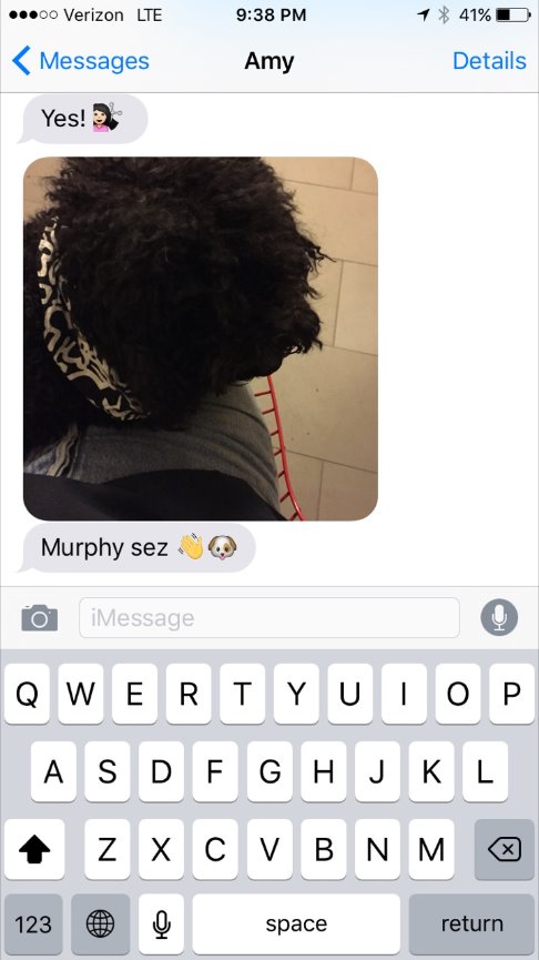 When Teresa called me