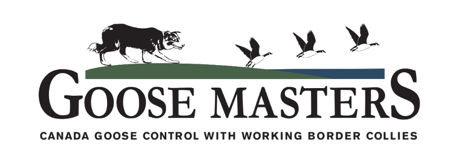 Goose Masters Logo