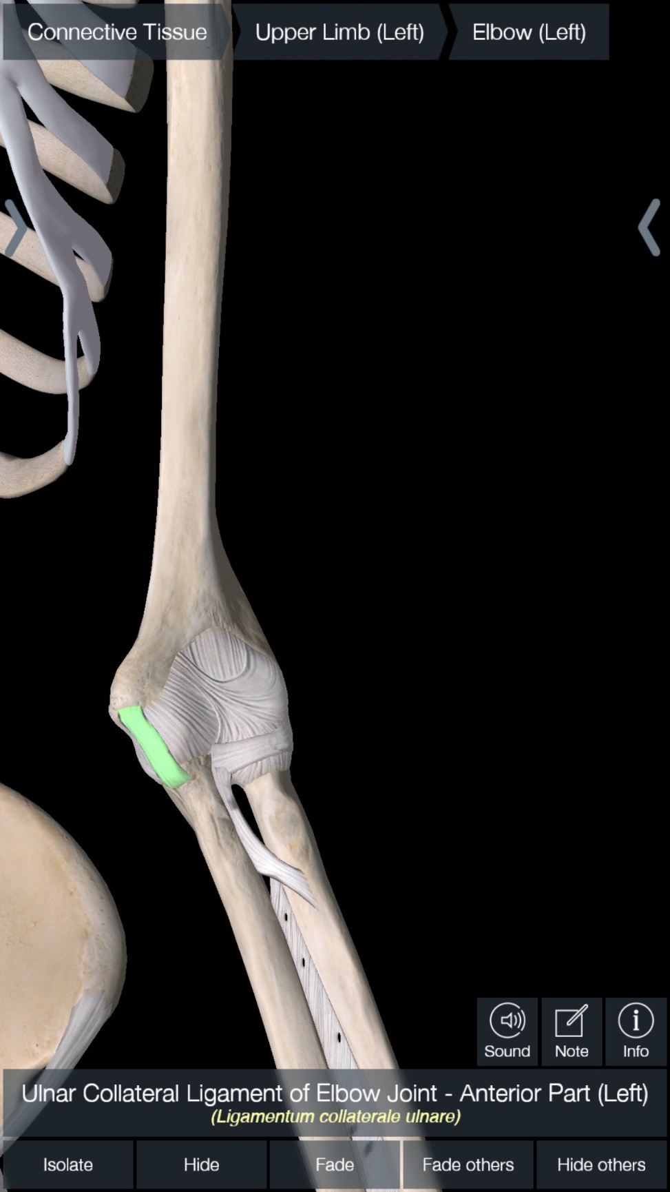 Golfers Elbow. What is it and how to treat The Orthobiologic Clinic