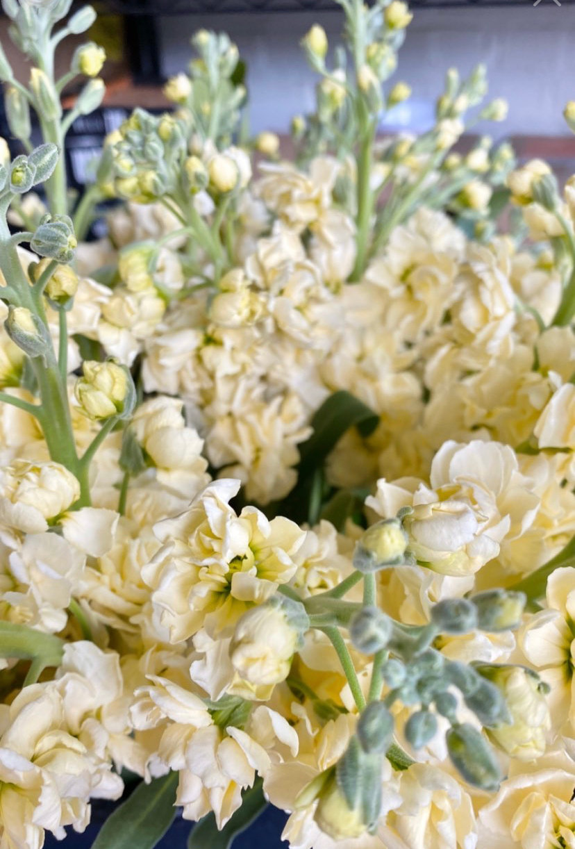 Floral Gallery WinstonSalem Florist Weddings & Special Event Florist Green Bee Floral Designs